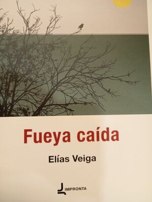 FUEYA CAIDA