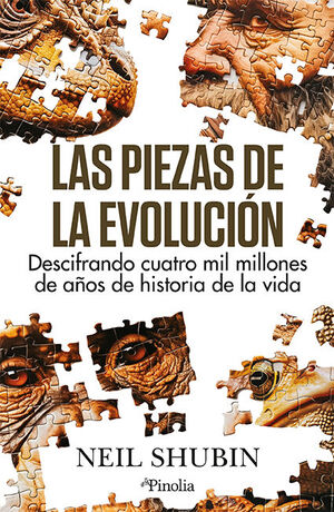 LAS PIEZAS DE LA EVOLUCIÓN