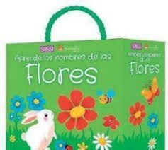 Q BOX LAS FLORES