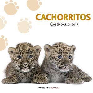 CALENDARIO CACHORRITOS 2017